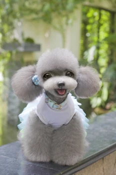 Jaunu Cute Vasaras Buttlyfly Loku TUTU Pet Suņiem Kleita Bezmaksas Piegāde kleita suns